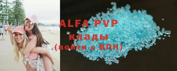 тгк Новозыбков