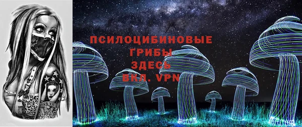 индика Волоколамск