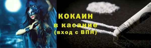 тгк Новозыбков