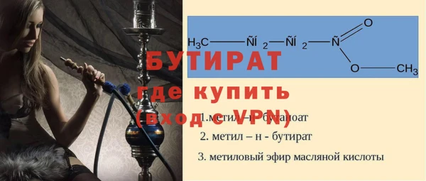 шишки Новодвинск