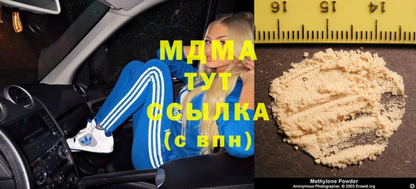 шишки Новодвинск