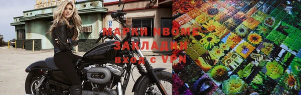 шишки Новодвинск