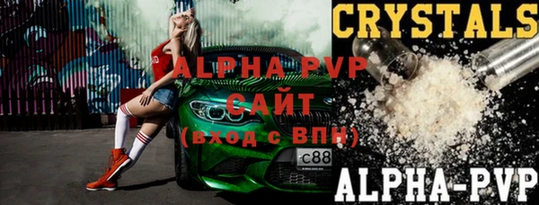 шишки Новодвинск