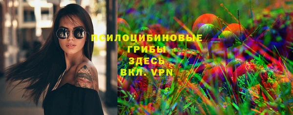 тгк Новозыбков