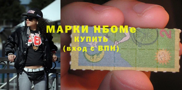 соль ск Няндома