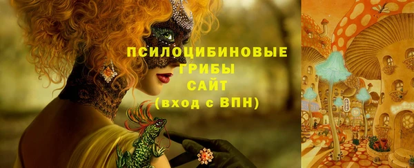 тгк Новозыбков