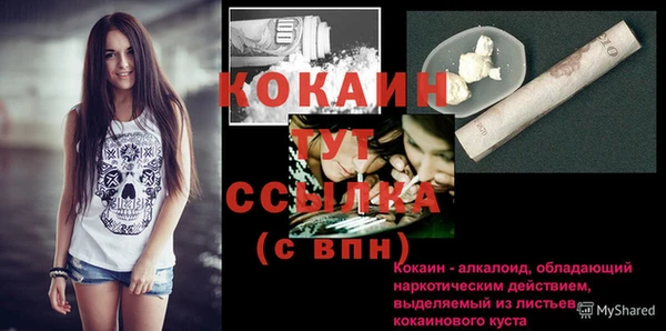тгк Новозыбков